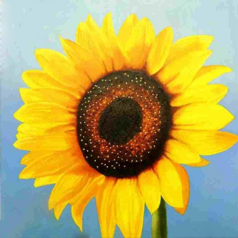 Sunflower Close up Diamond Art Kit