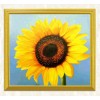 Sunflower Close up Diamond Art Kit