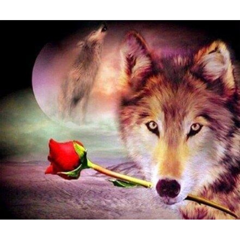 Red Rose & Wolf Pain...