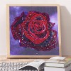 Red Rose - Special Diamond Painting