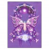 Dream catcher Flower Butterflies - Special Diamond Painting