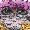 Cute Owl - Special Diamond Painting