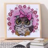 Cute Owl - Special Diamond Painting