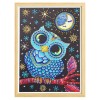 Anime Owl - Special Diamond Painting