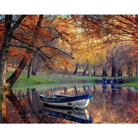 Beautiful View of Forest in the Autumn