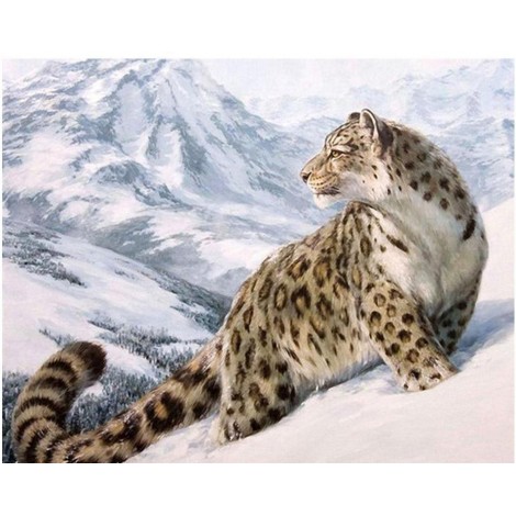 Snow Leopard on Snowy Mountain