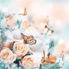 Butterflies on Beautiful Roses