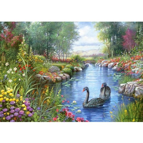 Wonderful Swans in a Beautiful Natural Pond
