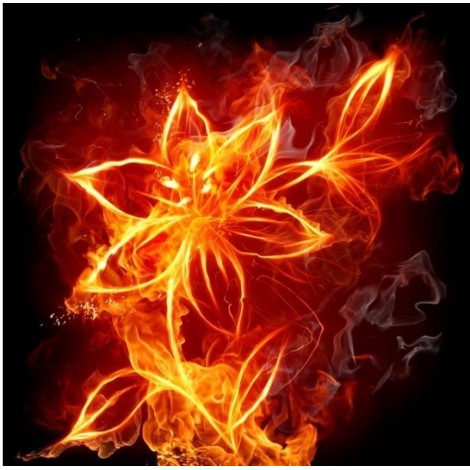 Big Lightning Flower Diamond Painting