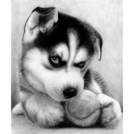 Angry Black & White Puppy Paint by Diamonds