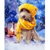 Dog in the Snow