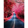 Long Road in Beautiful Forest Diamond Painting Kit