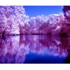 Stunning Lake DIY Diamond Painting