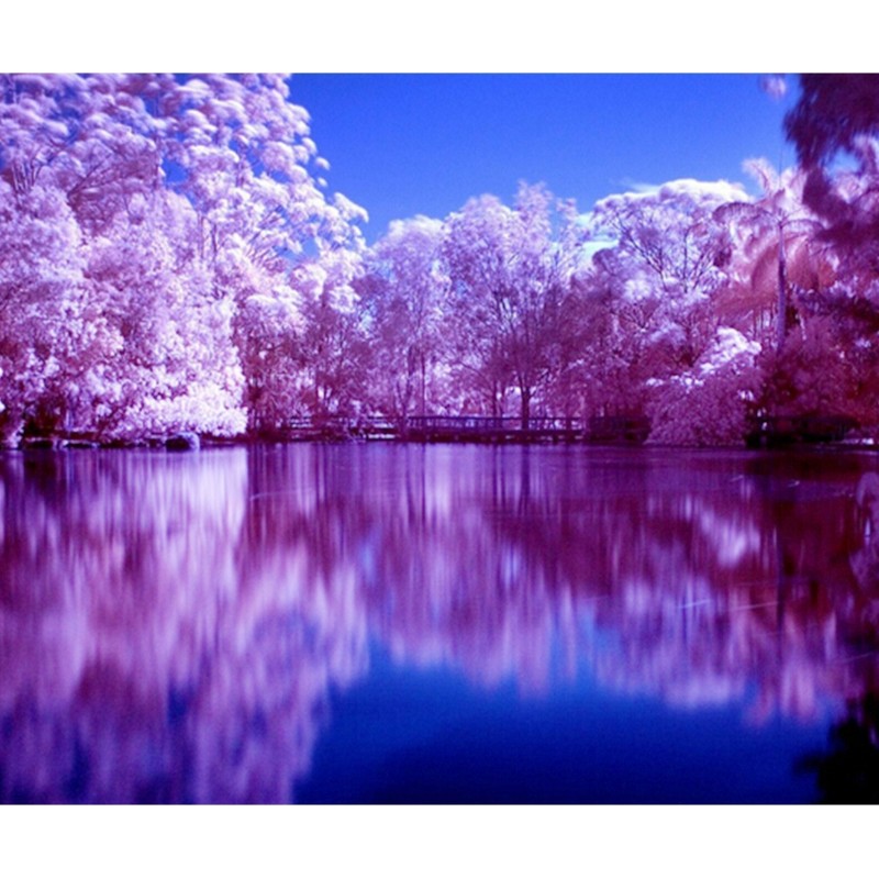 Stunning Lake DIY Di...