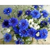 Blue Flowers DIY Diamond Art