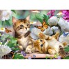 Butterflies & Cats Painting Kit