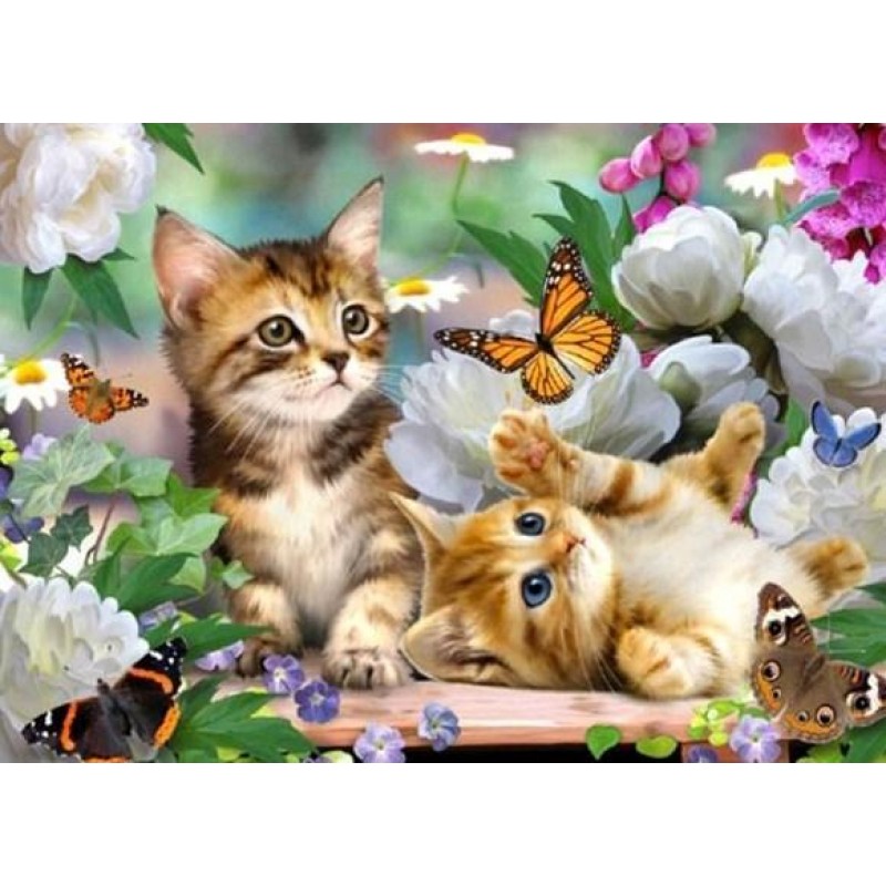 Butterflies & Cats P...
