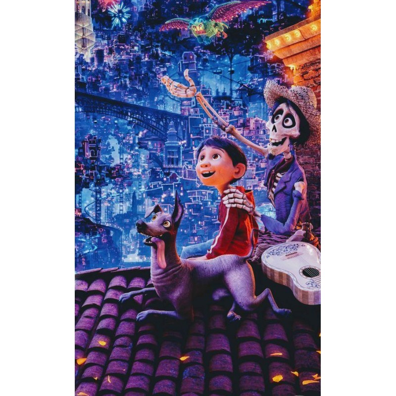 Coco Disney  Diamond...