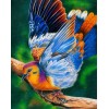 Amazing Dove Painting Kit