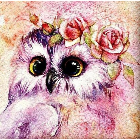 Flower Crowned Owl DIY Painting Kit