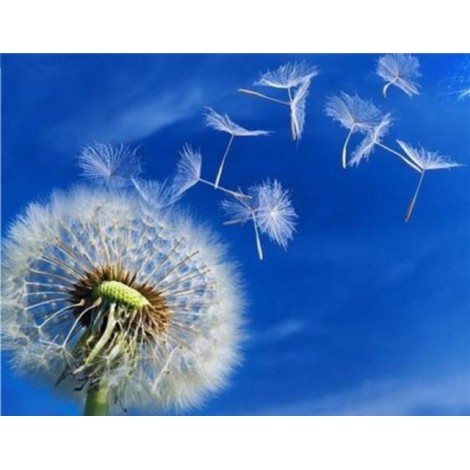 Dandelion Diamond Art Kit