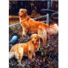 Dogs Diamond Art Painting Kits