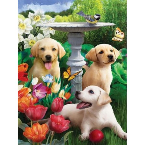 Dogs Diamond Art Painting Kits