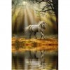 Horses Diamond Art Painting Kits