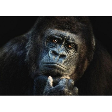 Gorilla - Paint with Diamonds