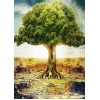Isolated Tree Diamond Painting Kit