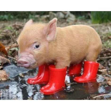 Sweet Pig in Red Boots - Diamond Painting Kit