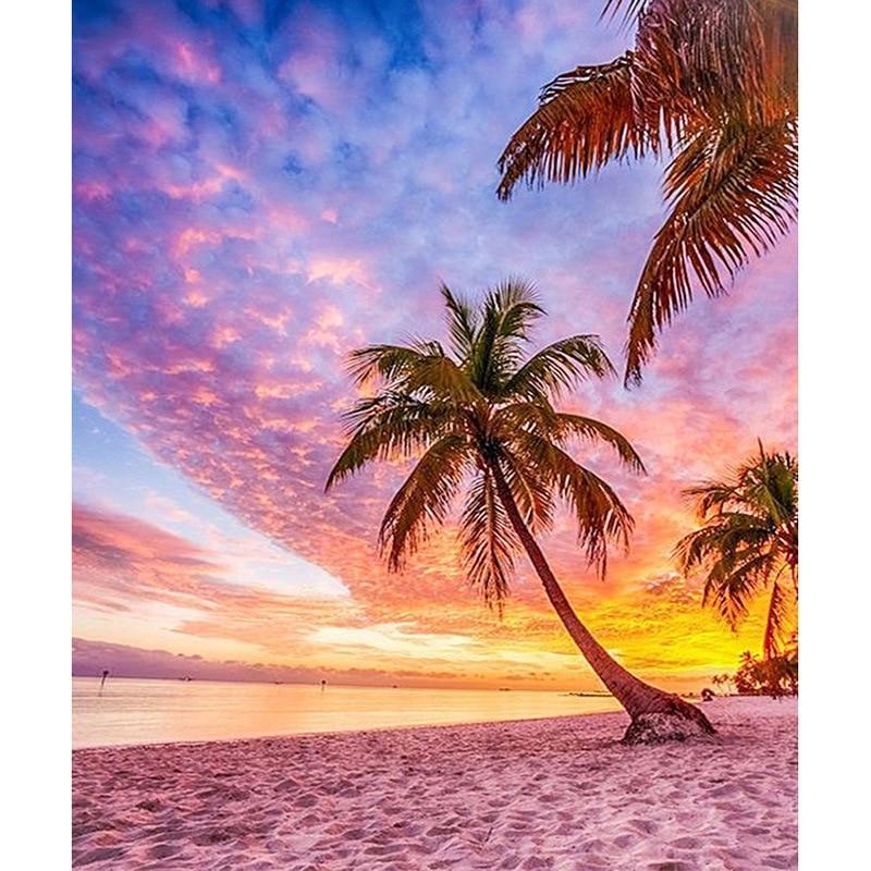 Beach Palm Trees - P...