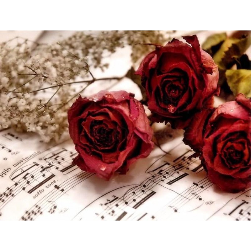 Three Lovely Red Ros...