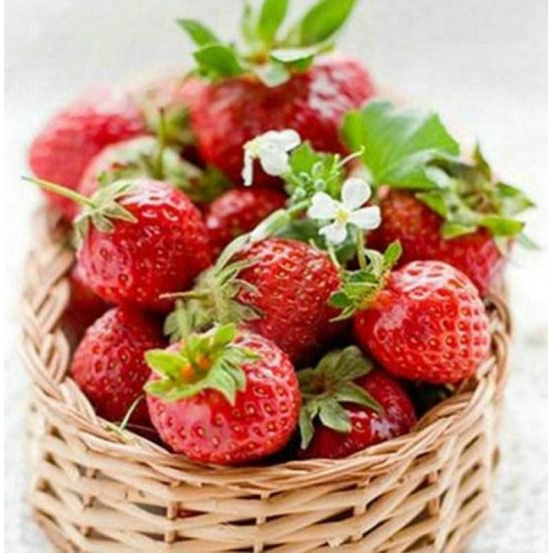 Basket of Strawberri...