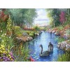 Gorgeous Birds - Swans Diamond Painting