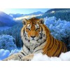 Staggering Tiger & Trees under Snow