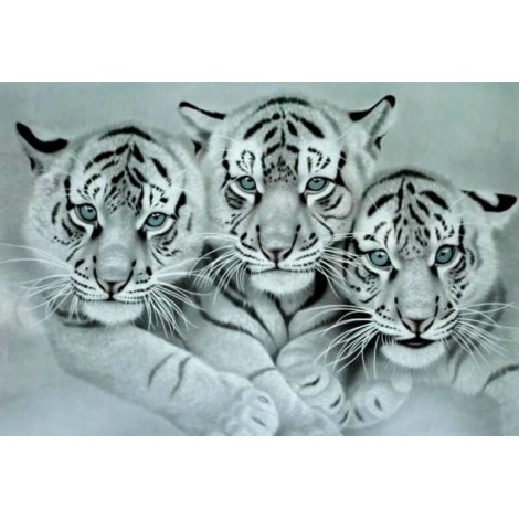 Stunning White Tigers - Diamond Art Kit