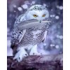 White Owl with Feather in Beak