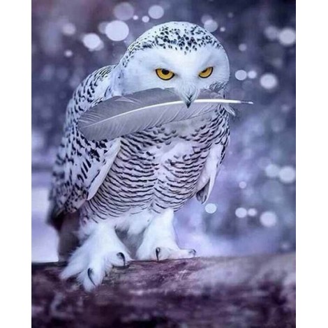 White Owl with Feather in Beak