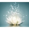 White Lotus Diamond Art Kit