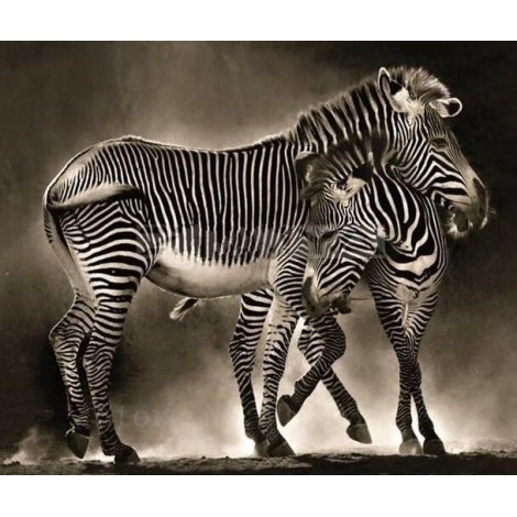 Hugging Zebras  Diamond Art Kit