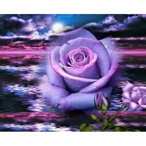 Romantic Purple Rose