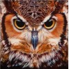 Angry Big Owl Diamond Painting