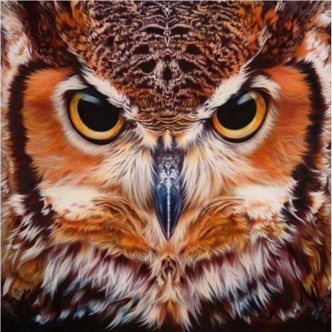 Angry Big Owl Diamond Painting