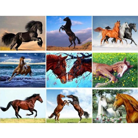 Beautiful Horse Diamond Paintings