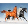 Beautiful Horse Diamond Paintings