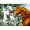Beautiful Horse Diamond Paintings