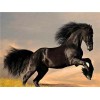 Beautiful Horse Diamond Paintings