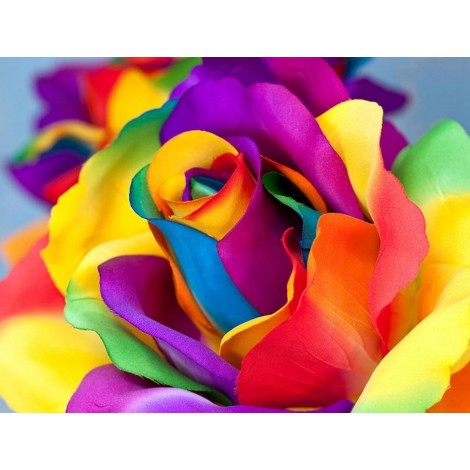 Attractive Multi color Roses - Paint with Diamonds