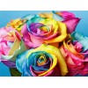 Attractive Multi color Roses - Paint with Diamonds